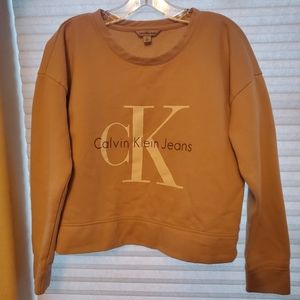 Calvin Klein Jean's beige logo crewneck sweatshirt